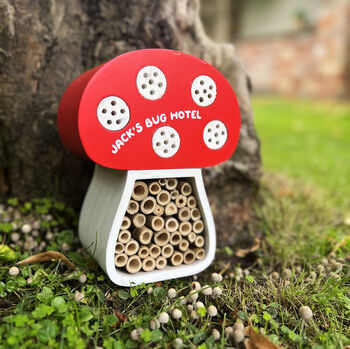 Toadstool Mushroom Personalised Bug House, 2 of 2