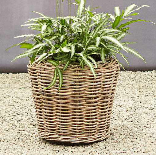 grey washed rattan garden planter by marquis & dawe