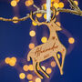 Matisse Personalised Reindeer Christmas Tree Decoration, thumbnail 3 of 3