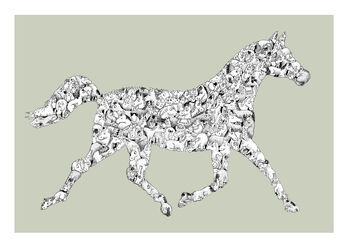 Black And White Horse, 2 of 4