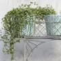 Wire Two Tier Planter, thumbnail 2 of 3