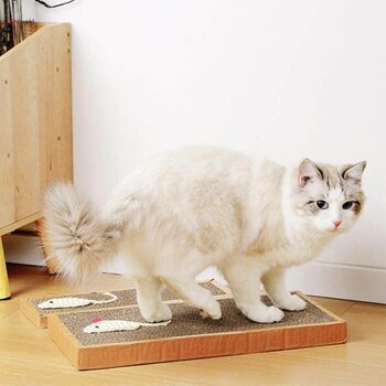 Signature Kitty Cat Natural Gift Box Handcrafted Eco Friendly Toys And Accessories For Your Feline Friend, 8 of 8