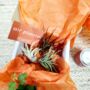 Tillandsia Air Plant Pick And Mix. Easy Care Houseplant, thumbnail 1 of 6