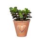 Mini Terracotta Planter With Embossed Heart Mothers Day, thumbnail 1 of 4
