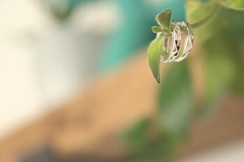 Huggie Hoop Earrings Sterling Silver Everyday Jewellery, 5 of 8