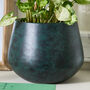 Saka Green Rounded Planter, thumbnail 3 of 5