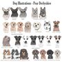 Personalised Illustrated Dog Cushion, thumbnail 7 of 8