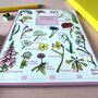 Wildflowers Spotting Journal Notepad, thumbnail 8 of 11