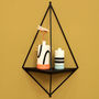 Wall Mounted Plant Hanger In Powder Coated Steel, thumbnail 3 of 7