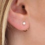 Gold Plated Or Silver And Pearl Pull Through Earrings, thumbnail 1 of 7