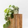 Philodendron Scandens Hanging Plant With Handmade Pot, thumbnail 5 of 5