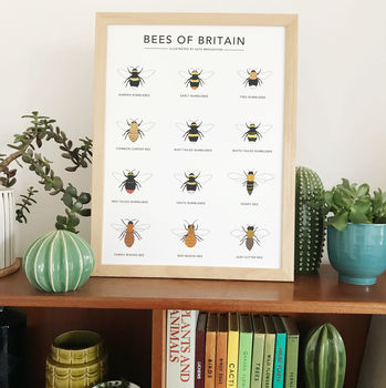 'Bees Of Britain' Print, 4 of 4