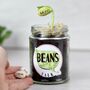 Beans Talk Message Seeds Jar Gift Set, thumbnail 1 of 8