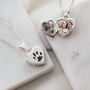 Sterling Silver Paw Print Heart Locket Necklace, thumbnail 1 of 8