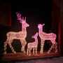 Twinkly Smart LED Light Up Christmas Reindeer Family, thumbnail 3 of 12
