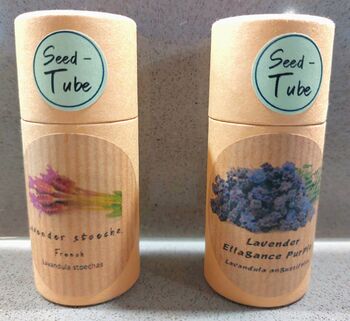 Lavender Seeds And Bottles Gift Set, 3 of 6