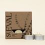 Thyme And Mint Scented Tealights, thumbnail 1 of 2