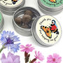 Thank You Teacher Wildflower Seeds, thumbnail 4 of 8