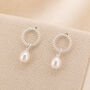 Sterling Silver Freshwater Pearl Circle Stud Earrings, thumbnail 1 of 8