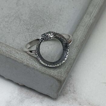 Sterling Silver Ouroboros Snake Ring, 11 of 11