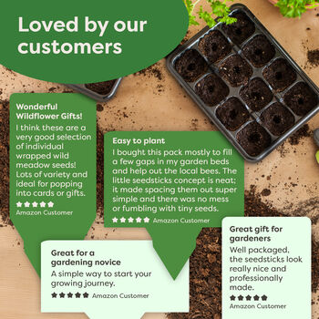 Personalised Insect Hotel Gift Pack, 10 of 10