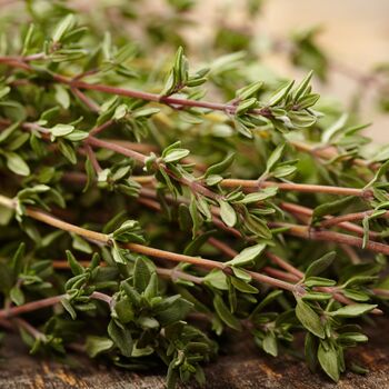 Herb English Thyme One X 9cm Pot, 2 of 5