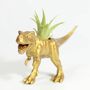 Hand Painted T Rex Dinosaur Planter With A Plant, thumbnail 1 of 7