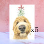 Pack Of Five Golden Doodle Christmas Cards, thumbnail 1 of 2