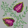 A Fine Vine, thumbnail 4 of 7