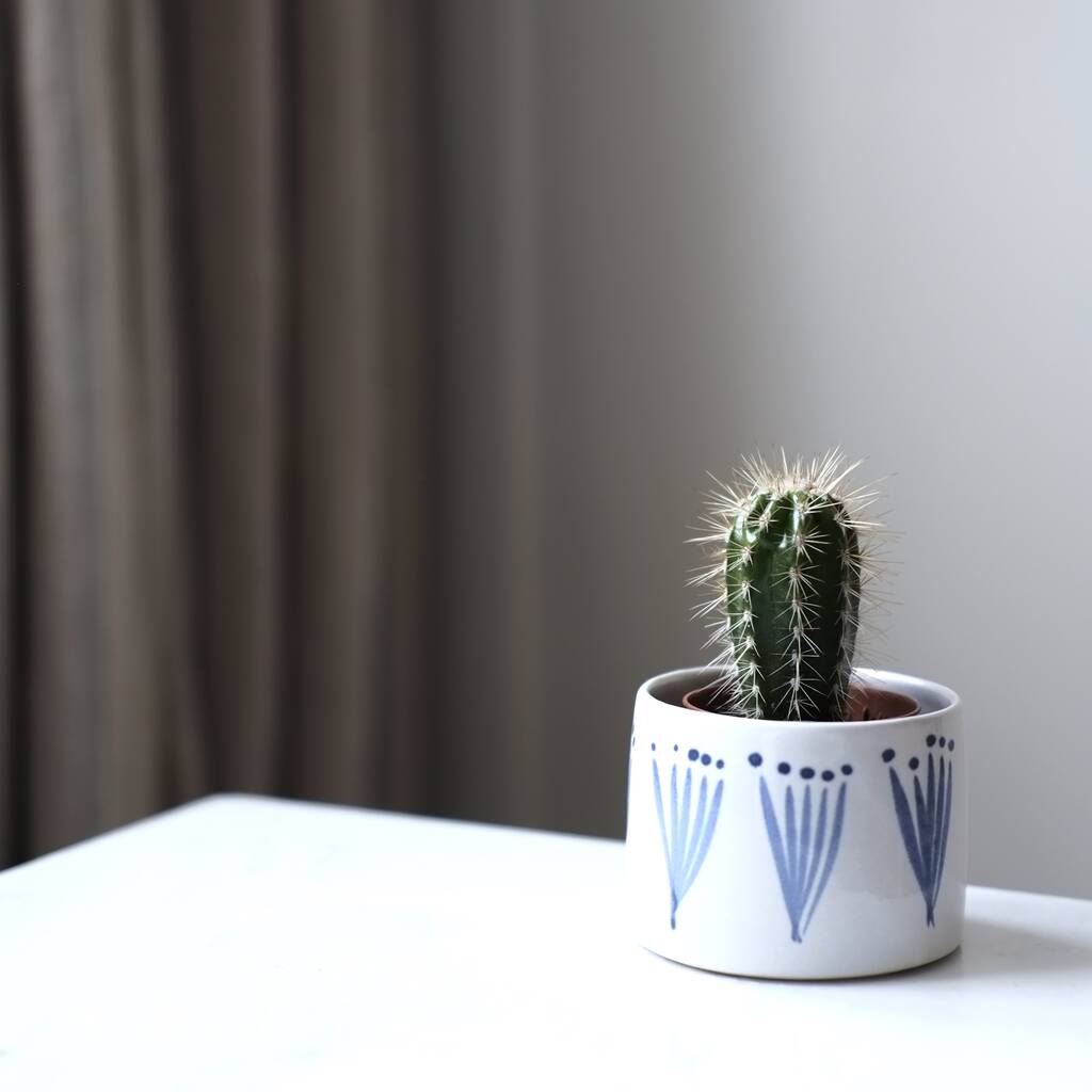 Image of 'Helia' Handmade Ceramic Planter