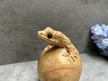 Hand Carved Wooden Gecko On Egg Ornament Figurine Gift, 12 of 12