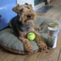 Personalised Dog Tennis Balls, thumbnail 6 of 12