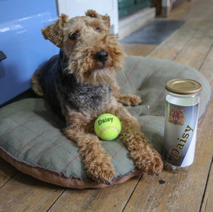 personalised dog balls