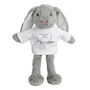 Personalised I Belong To Plush Easter Bunny Soft Toy, thumbnail 5 of 5