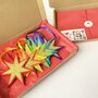 Rainbow Star Decoration Set, thumbnail 6 of 8