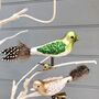 Set Of Christmas Clip On Birds, thumbnail 3 of 3