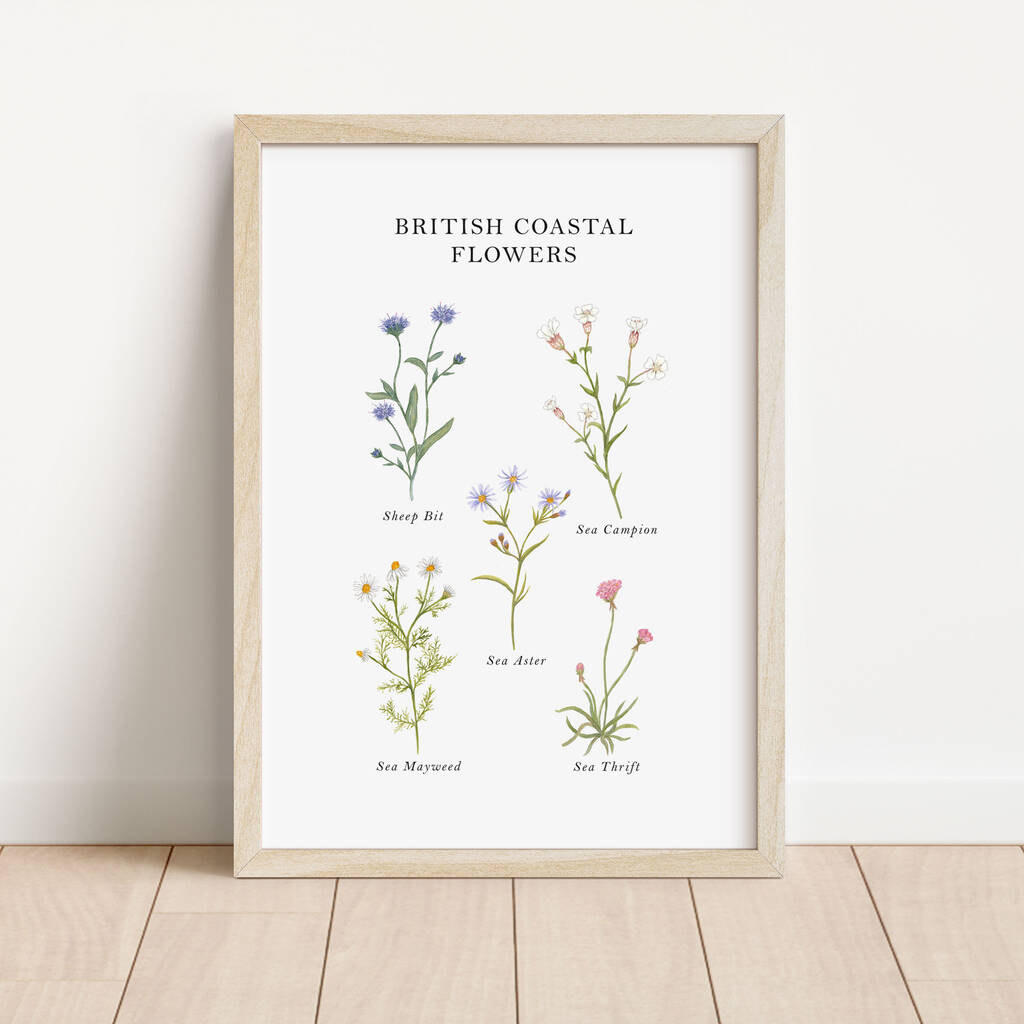 British Coastal Flowers Art Print, 1 of 4