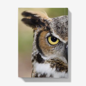 A5 Hardback Notebook Featuring A Great Horned Owl, 4 of 4