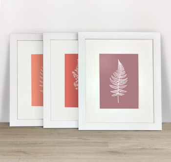 Set Of Three Fern Floral Art Unframed Prints, 4 of 9