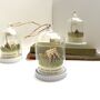Personalised Camping Under The Stars Glass Dome Gift, thumbnail 3 of 10