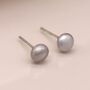 Sterling Silver Grey Freshwater Pearl Stud Earrings, thumbnail 3 of 10