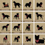 'Dog Lover Gift' Personalised Dog Breed Print, thumbnail 12 of 12
