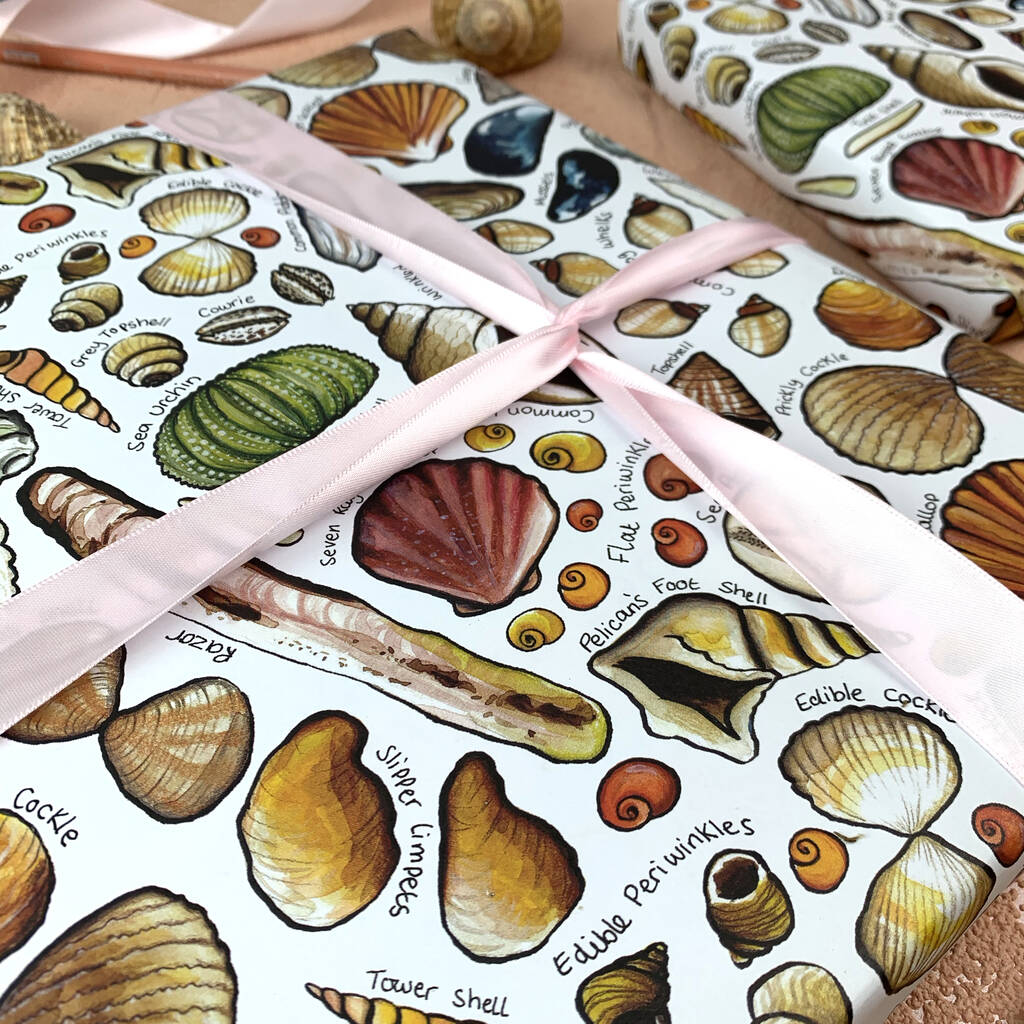 Seashell paper plates picture