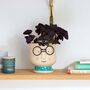 Indoor Ceramic Plant Pot With Smiling Face And Glasses, thumbnail 1 of 3