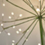 Solar LED Dandelion Stake Light In Green, thumbnail 2 of 3