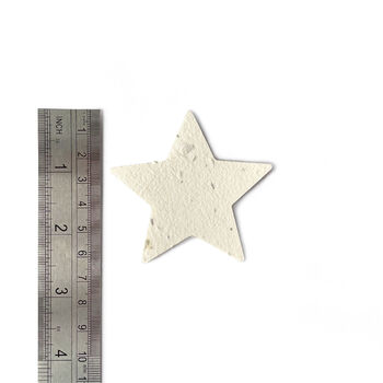 Christmas Star Plantable Seed Paper Stars, 4 of 8