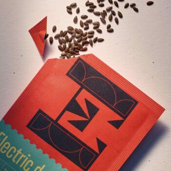 Botanical Alphabet Seeds, 6 of 9