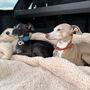 Sherpa Fleece Dog Blanket, thumbnail 5 of 10