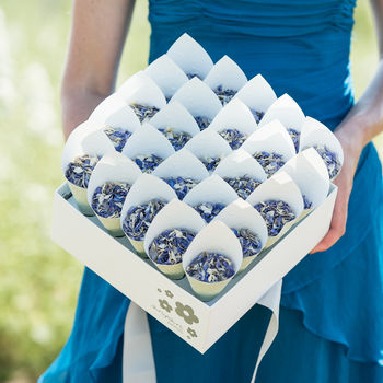 25 Biodegradable Wedding Petal Confetti Cones, 8 of 12