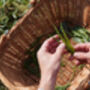 Forage And Feast Experience In The Northwest, thumbnail 12 of 12